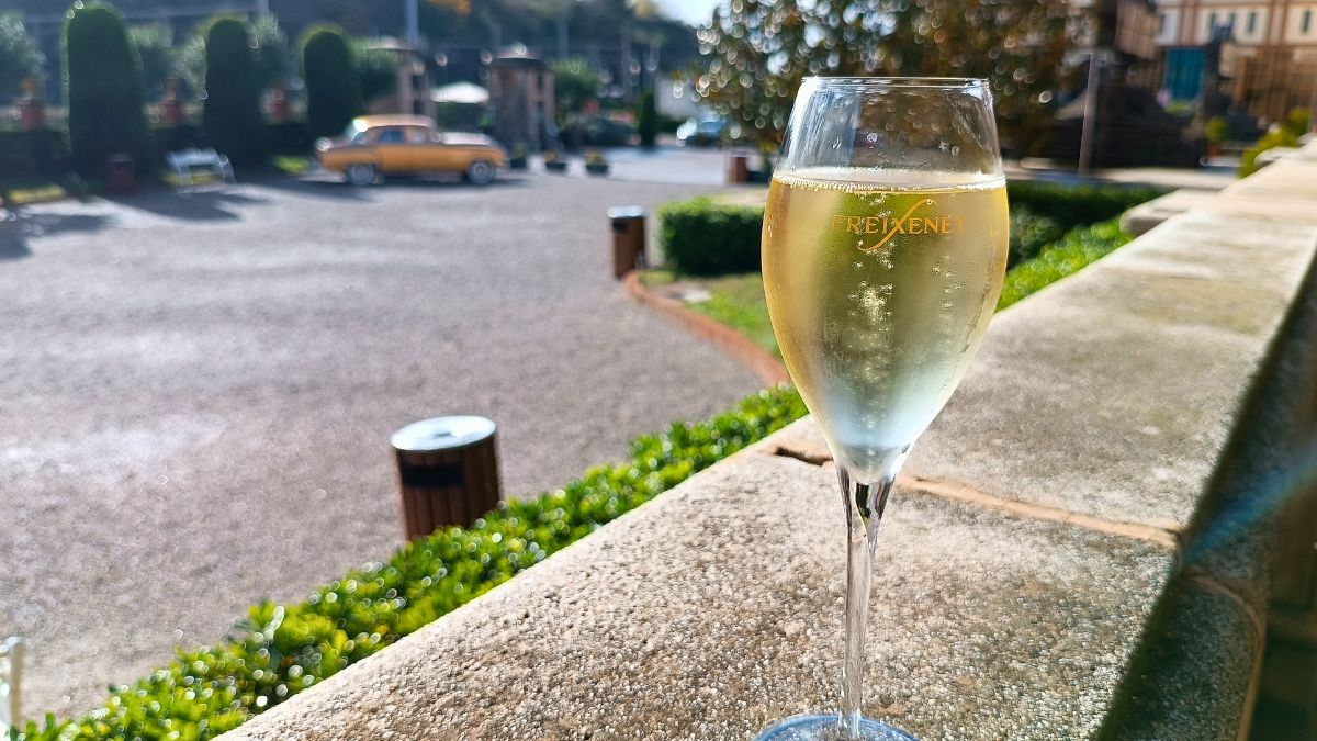 Barcelona Wine Tours Header