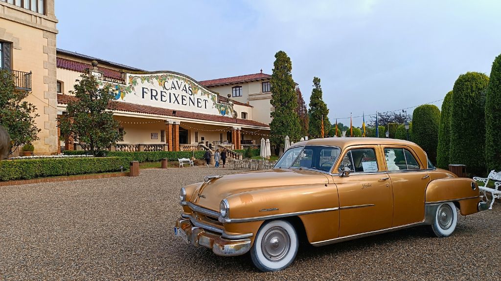 Cavas Freixenet Winery Day Trip from Barcelona by Train