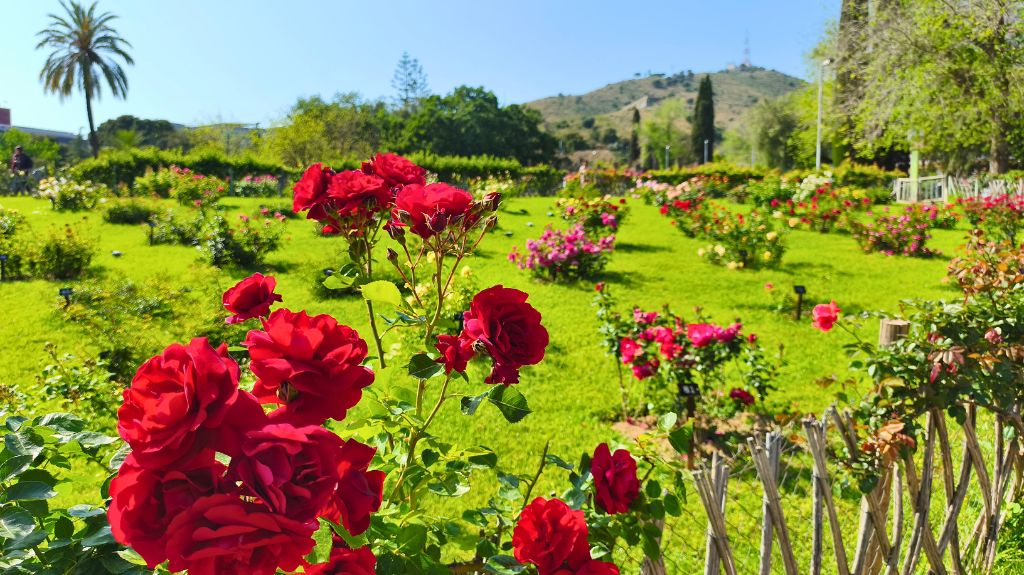 Parc de Cervantes